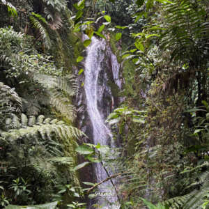 Cascada Patula Caldas