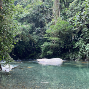 Río Melcocho | Naturaleza, Aventura y Aguas Cristalina