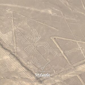 Líneas de Nazca en Perú, uno de los misterios arqueológicos del viaje a Perú 2026 con A Todo Pulmón