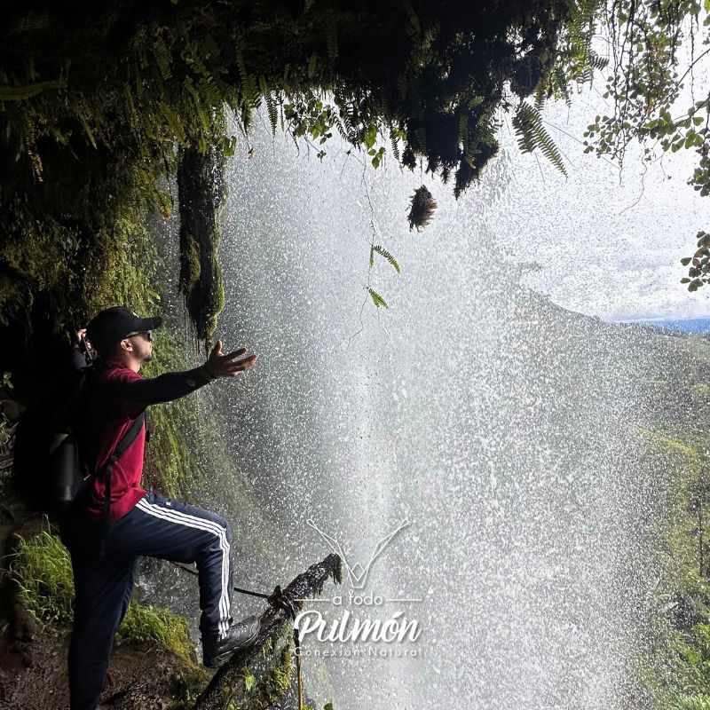 Senderos entre raíces y cascadas